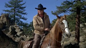 1700204941_true-grit-john-wayne.jpg.jpg